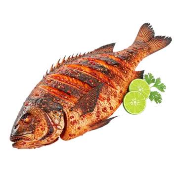 Grilled red fish